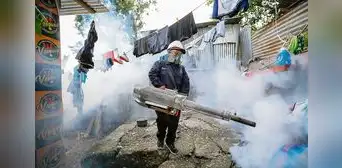 El azote del dengue El azote del dengue