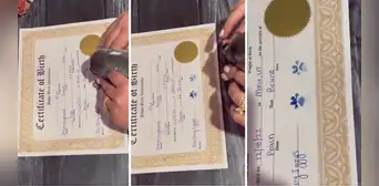 Perrito deja huella en acta de nacimiento y enternece en redes sociales: “Qué ternurita” Perrito deja huella en acta de nacimiento y enternece en redes sociales: “Qué ternurita”