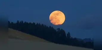¿Qué es y dónde se verá el eclipse de la luna de flores este 5 de mayo? ¿Qué es y dónde se verá el eclipse de la luna de flores este 5 de mayo?