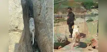 Rescatan perrita que quedó atrapada en medio de un peñasco en Trujillo Rescatan perrita que quedó atrapada en medio de un peñasco en Trujillo