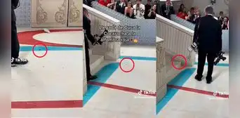 Met Gala 2023: cucaracha pasa por la alfombra roja y es fotografiada por los asistentes Met Gala 2023: cucaracha pasa por la alfombra roja y es fotografiada por los asistentes
