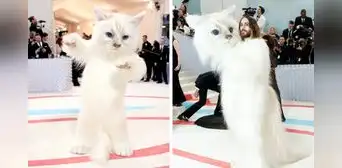 Jared Leto impacta al aparecer vestido de gato en la MET Gala 2023: ¿por qué hizo esto el actor? Jared Leto impacta al aparecer vestido de gato en la MET Gala 2023: ¿por qué hizo esto el actor?