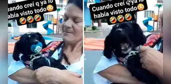 Perrito llora cuando su ama le saca el chupón de la boca y enternece en redes sociales :”Morí de amor”