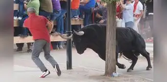Carnicero murió corneado por un toro: pensó que estaba muerto tras ser inmovilizado en corrida