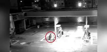 Pueblo Libre: capturan a ladrón que intentó vender manguera a llanteros a los que les robó Pueblo Libre: capturan a ladrón que intentó vender manguera a llanteros a los que les robó