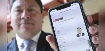 Licencia de conducir electrónica: ¿cómo descargar mi brevete vía online este 2023?