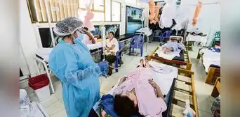 Colegio Médico del Perú alerta sobre incremento explosivo de casos de dengue