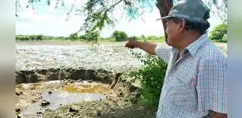 Quebrada Pajaritos continúa desbordándose e inundando cultivos en Piura Quebrada Pajaritos continúa desbordándose e inundando cultivos en Piura