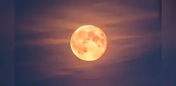 Eclipse lunar HOY, EN VIVO: a qué hora y cómo ver el eclipse de la luna de flores Eclipse lunar HOY, EN VIVO: a qué hora y cómo ver el eclipse de la luna de flores