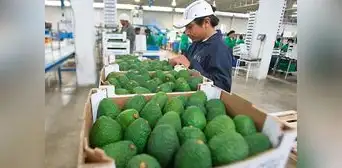 Mincetur lanza tercera convocatoria del Programa de Apoyo a la Internacionalización a emprendedores Mincetur lanza tercera convocatoria del Programa de Apoyo a la Internacionalización a emprendedores