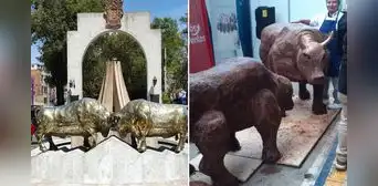 Pasteleros buscan recrear en tamaño real toros a base de chocolate en Arequipa: “Delicioso”