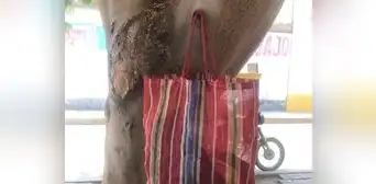 La Libertad: por redes sociales buscan a mujer que olvidó su bolsa con víveres en un árbol La Libertad: por redes sociales buscan a mujer que olvidó su bolsa con víveres en un árbol