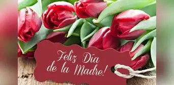 ¿Cuándo se celebra el Día de la Madre en Perú?