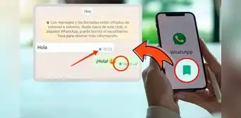 WhatsApp: ¿para qué sirve el nuevo ícono de bandera que está apareciendo en los mensajes? WhatsApp: ¿para qué sirve el nuevo ícono de bandera que está apareciendo en los mensajes?