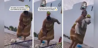 Madre sorprende al 'regañar' a su perrito por no querer comer: "Esa la aplico yo también" Madre sorprende al 'regañar' a su perrito por no querer comer: "Esa la aplico yo también"