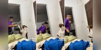 'Pelea' de perrito con su dueño desata furor en redes sociales: "Ataca de una vez, Firulais" 'Pelea' de perrito con su dueño desata furor en redes sociales: "Ataca de una vez, Firulais"