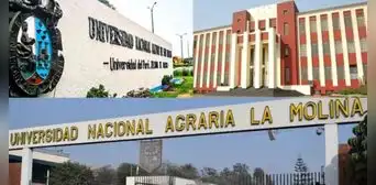 Proponen convalidar planes de estudios de institutos en universidades públicas