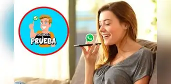 ¿Cómo enviar audios de WhatsApp con la voz de Jimmy de "Pongámoslo a prueba"? Te enseñamos ¿Cómo enviar audios de WhatsApp con la voz de Jimmy de "Pongámoslo a prueba"? Te enseñamos