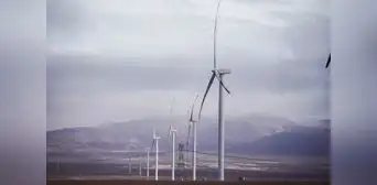 Congreso bloquea ley que bajaba los precios de la luz con energías eólica y solar