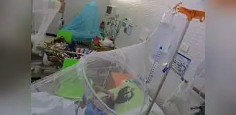 Dengue sigue causando más muertes en Lambayeque y La Libertad Dengue sigue causando más muertes en Lambayeque y La Libertad