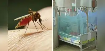 Dengue en Perú: ¿cuáles son los distritos de Lima con más infectados por la enfermedad? Dengue en Perú: ¿cuáles son los distritos de Lima con más infectados por la enfermedad?