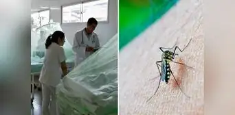 Dengue en Perú: ya son más de 69.000 casos y 73 personas fallecidas Dengue en Perú: ya son más de 69.000 casos y 73 personas fallecidas