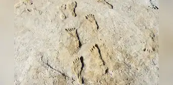 Humanos poblaron América 10.000 años antes de lo que se creía, sugiere estudio Humanos poblaron América 10.000 años antes de lo que se creía, sugiere estudio