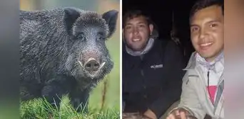 Argentina: joven que fue de cacería muere de un disparo tras ser confundido por su amigo con un jabalí Argentina: joven que fue de cacería muere de un disparo tras ser confundido por su amigo con un jabalí