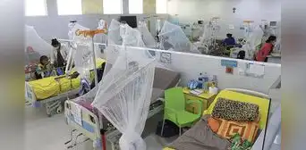 Emergencia nacional: dengue avanza sin control y van 74 muertos en el país