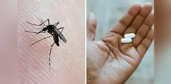 Dengue en Perú: ¿qué medicamento puedo tomar si soy alérgico o no puedo tomar paracetamol? Dengue en Perú: ¿qué medicamento puedo tomar si soy alérgico o no puedo tomar paracetamol?
