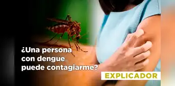 Dengue en Perú: ¿una persona con esta enfermedad puede contagiarme?