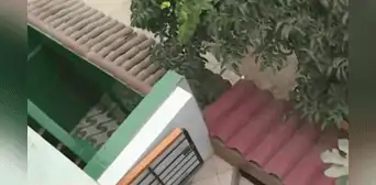 Callao: delincuentes ingresan por el techo de una casa y amarran a mujer para robar Callao: delincuentes ingresan por el techo de una casa y amarran a mujer para robar