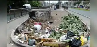 SMP: vecinos denuncian que ciclovía de la avenida Tomás Valle luce abandonada y llena de basura SMP: vecinos denuncian que ciclovía de la avenida Tomás Valle luce abandonada y llena de basura
