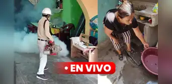 Dengue en Perú EN VIVO: 79 fallecidos y más de 35.000 casos confirmados Dengue en Perú EN VIVO: 79 fallecidos y más de 35.000 casos confirmados