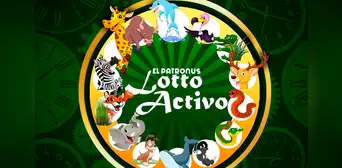 ¿Qué pasó con los resultados del Lotto Activo?