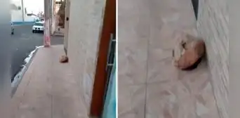 Hombre quiso acercarse a perrito, pero resultó que era una piedra: "Sufrir de miopía es complicado" Hombre quiso acercarse a perrito, pero resultó que era una piedra: "Sufrir de miopía es complicado"