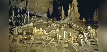 Así es la construcción más antigua del mundo: fue hecha por neandertales hace 176.000 años Así es la construcción más antigua del mundo: fue hecha por neandertales hace 176.000 años