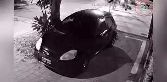 Ladrón pierde su celular en pleno asalto y llama a su víctima para que se lo devuelvan