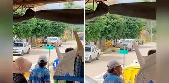 En menos de dos minutos, delincuentes roban 100.000 soles del Banco de la Nación en Piura En menos de dos minutos, delincuentes roban 100.000 soles del Banco de la Nación en Piura