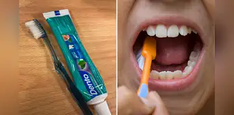 ¿Cada cuánto tiempo debo cambiar mi cepillo de dientes por uno nuevo? ¿Cada cuánto tiempo debo cambiar mi cepillo de dientes por uno nuevo?