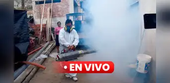 Dengue en Perú EN VIVO: ¿cuáles son las regiones con más contagios, según el Minsa? Dengue en Perú EN VIVO: ¿cuáles son las regiones con más contagios, según el Minsa?