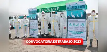 ¿Tienes primaria completa? Sernanp ofrece trabajos con sueldos de hasta S/7.500: cómo postular ¿Tienes primaria completa? Sernanp ofrece trabajos con sueldos de hasta S/7.500: cómo postular