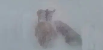 Senamhi advierte descenso de temperaturas acompañadas de heladas en zonas altas de Arequipa Senamhi advierte descenso de temperaturas acompañadas de heladas en zonas altas de Arequipa