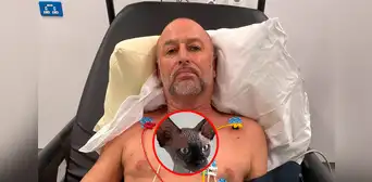 La historia de Chris Rowley: ¿cómo el tropezarse con su gato lo dejó al borde de la muerte?