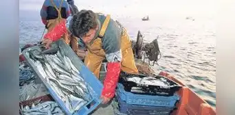 Autógrafa que prioriza la pesca artesanal en las 5 millas será promulgada Autógrafa que prioriza la pesca artesanal en las 5 millas será promulgada