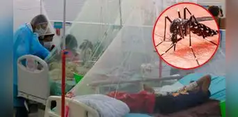 Faltan médicos para atender los casos de dengue en Piura y La Libertad