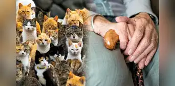 El caso de Clara Tobón: la mujer que fue devorada por sus gatos tras morir en soledad