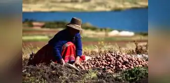 Midagri aprueba financiamiento para el comercio de productos agrícolas con créditos de hasta S/40.000 Midagri aprueba financiamiento para el comercio de productos agrícolas con créditos de hasta S/40.000