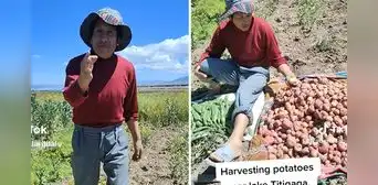 Agricultor aimara sorprende con su excelente dominio del inglés: "Otro nivel" Agricultor aimara sorprende con su excelente dominio del inglés: "Otro nivel"