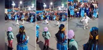 Niños demuestran su talento al ritmo de shacshas: “El baile lo llevan en la sangre” Niños demuestran su talento al ritmo de shacshas: “El baile lo llevan en la sangre”